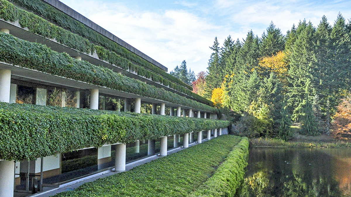 Weyerhaeuser Q1 profit 151 million Earnings POST Online Media