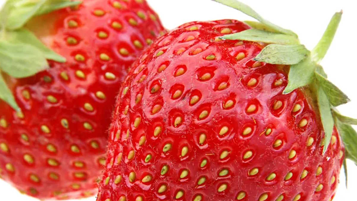 Saudi Arabia lifts restrictions on Egyptian strawberry imports