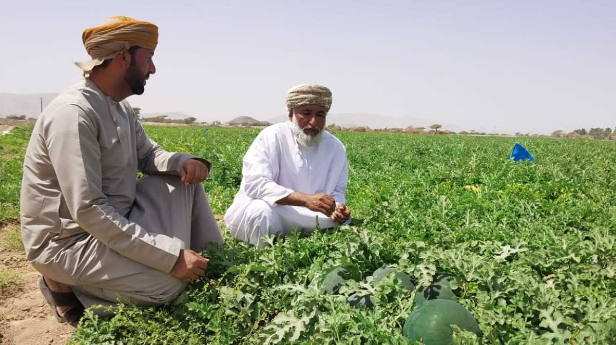 Oman Some food added to zero VAT list Agrifish POST Online Media