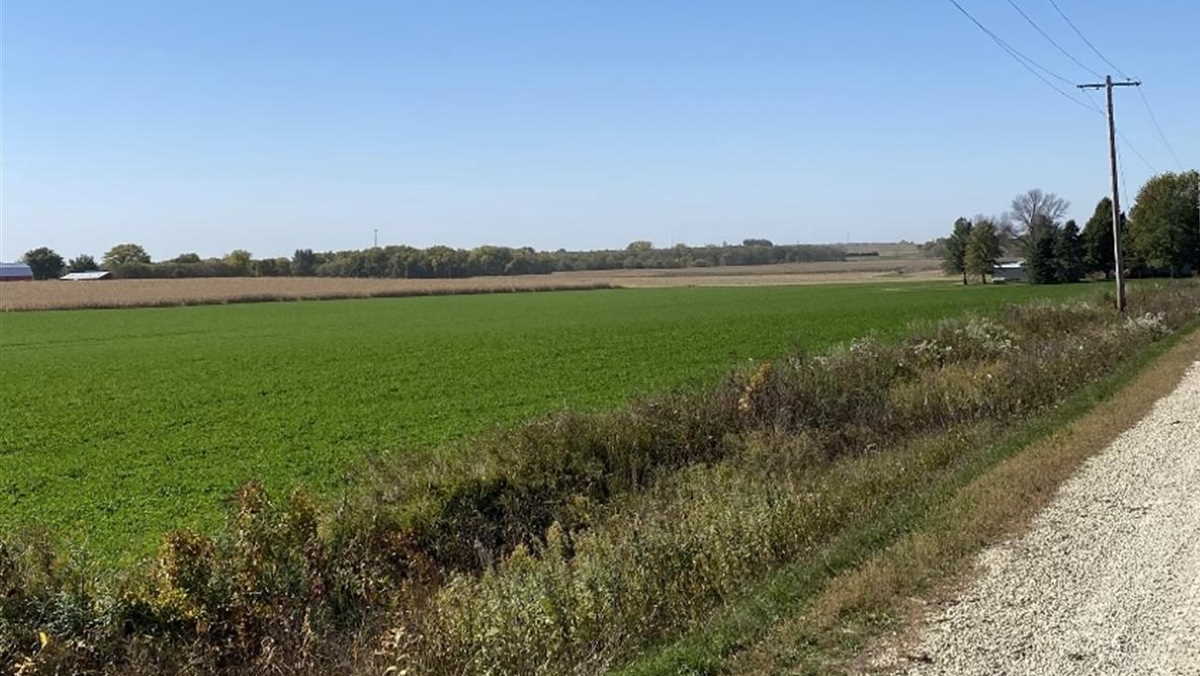 Additional case of highly pathogenic avian influenza confirmed in