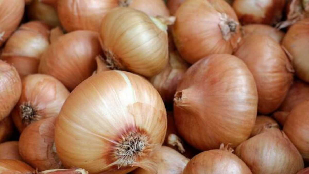 No need of onion, potato imports, says Zambia National Farmers’ Union