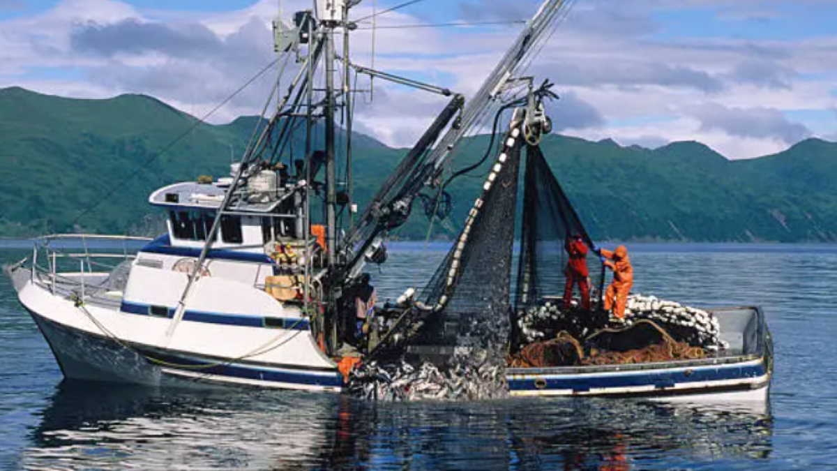 One dead, 11 missing after fishing vessel sinks in Ghana News POST