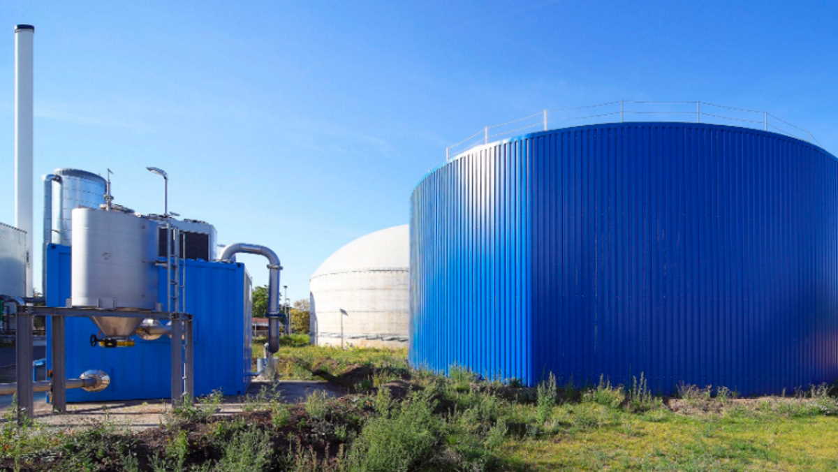 Japan to get huge cow manure power station