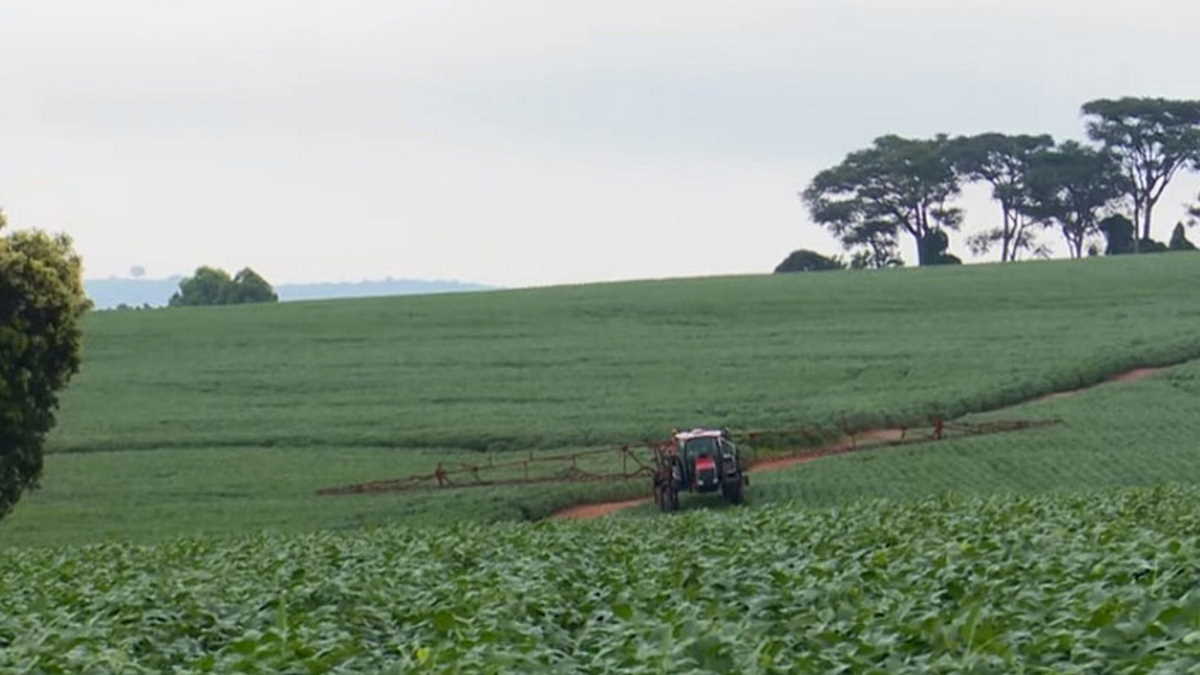 Brazil forecasts 20212022 grain output at 272.5 mln tons Agrifish