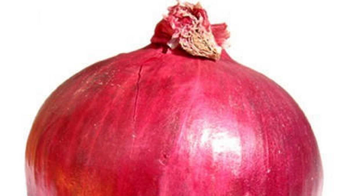 Crisis in Sri Lanka hits Indian onion exports Agrifish POST Online