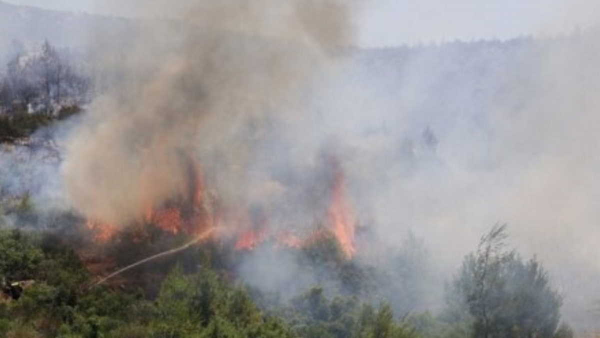Wildfires burn for third day in Greece, EU allies send aid News
