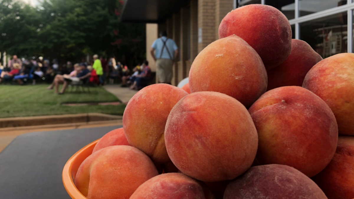 South Carolina Peach Festival celebrates peach industry with concerts