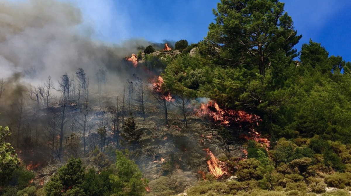 Firehit power plant in SW Turkey reoperates News POST Online Media