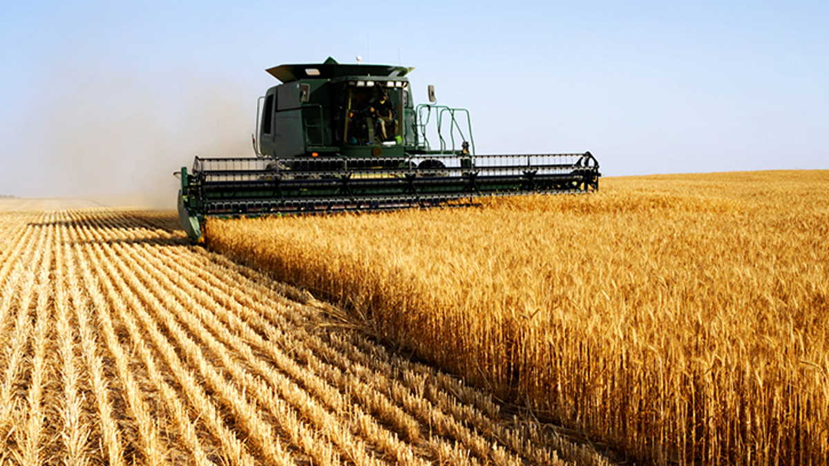 Brazil Conab predicts new record in grain production in the 2022/23