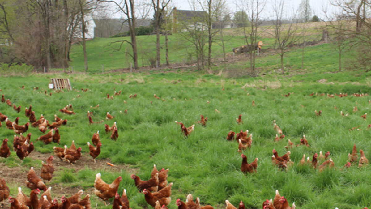 Handsome Brook Farms to establish first manufacturing operations in