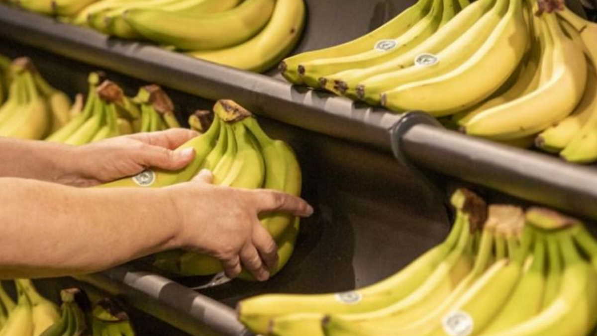Paraguayan and Bolivian bananas return to Argentina Agrifish POST
