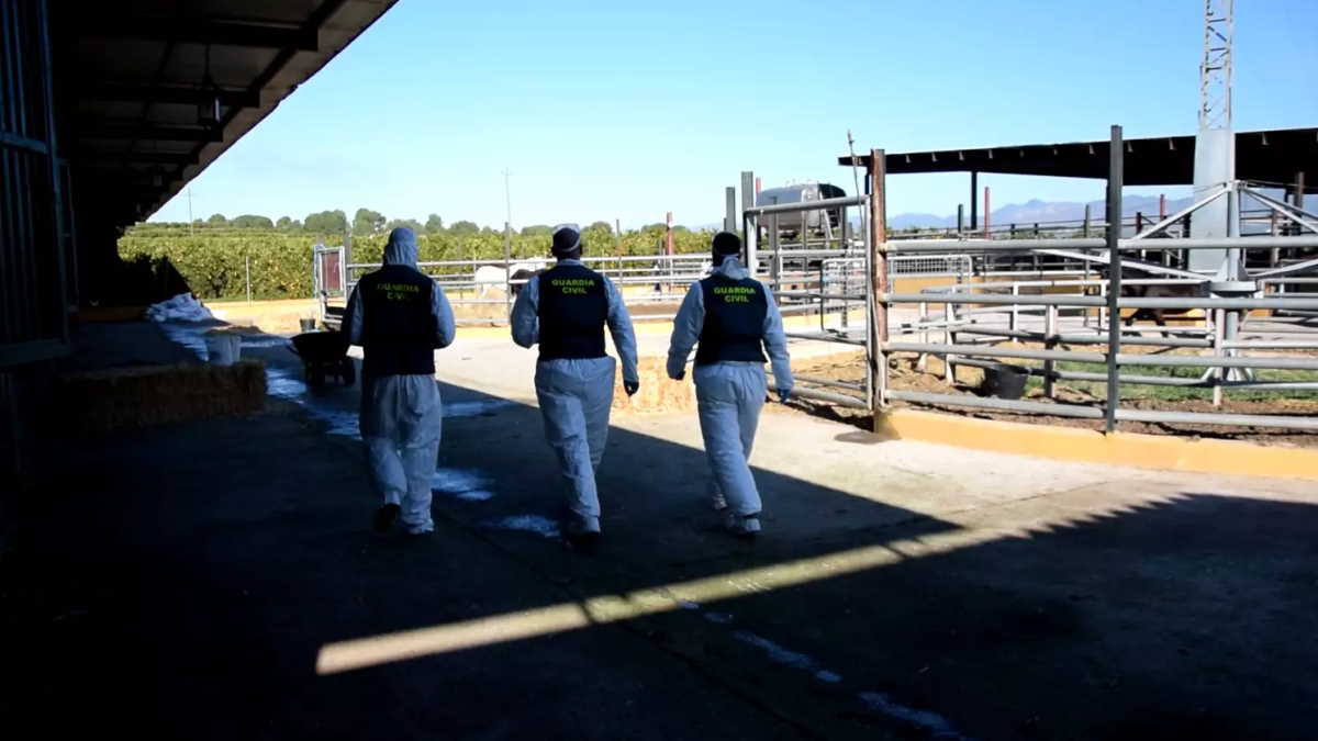 Europol and Spanish Civil Guard action day 41 arrested for selling