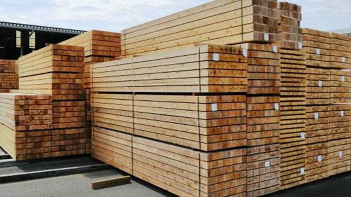Russia extends prohibitive export duties on rough lumber to end of 2025
