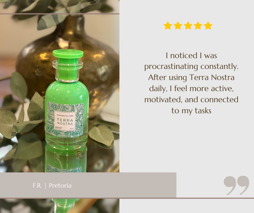 Screenshot of a customer message about Terra Nostra (2 of 3)