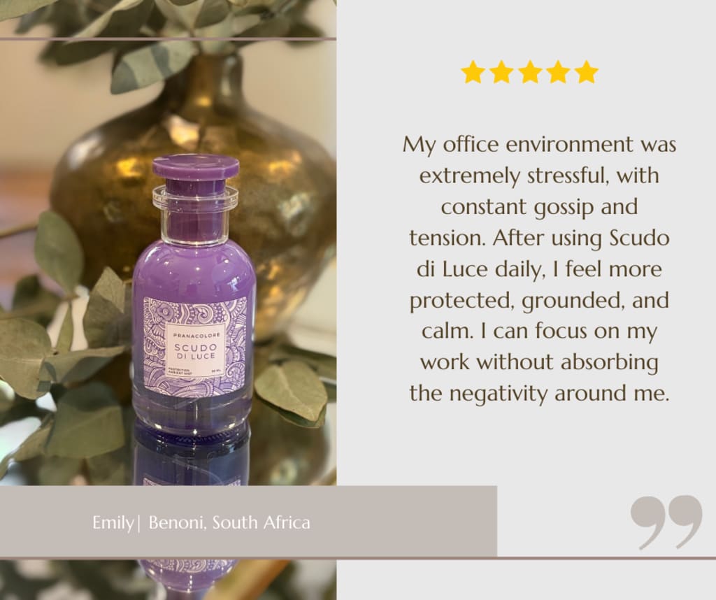 Screenshot of a customer message about Scudo di Luce (4 of 5)