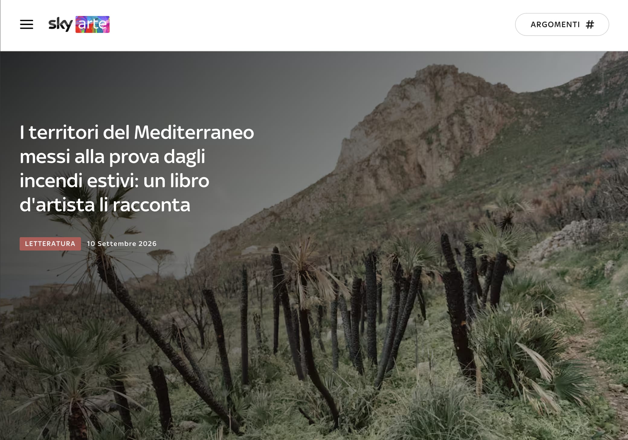 I territori del Mediterraneo messi alla prova dagli incendi estivi: un libro d'artista li racconta
