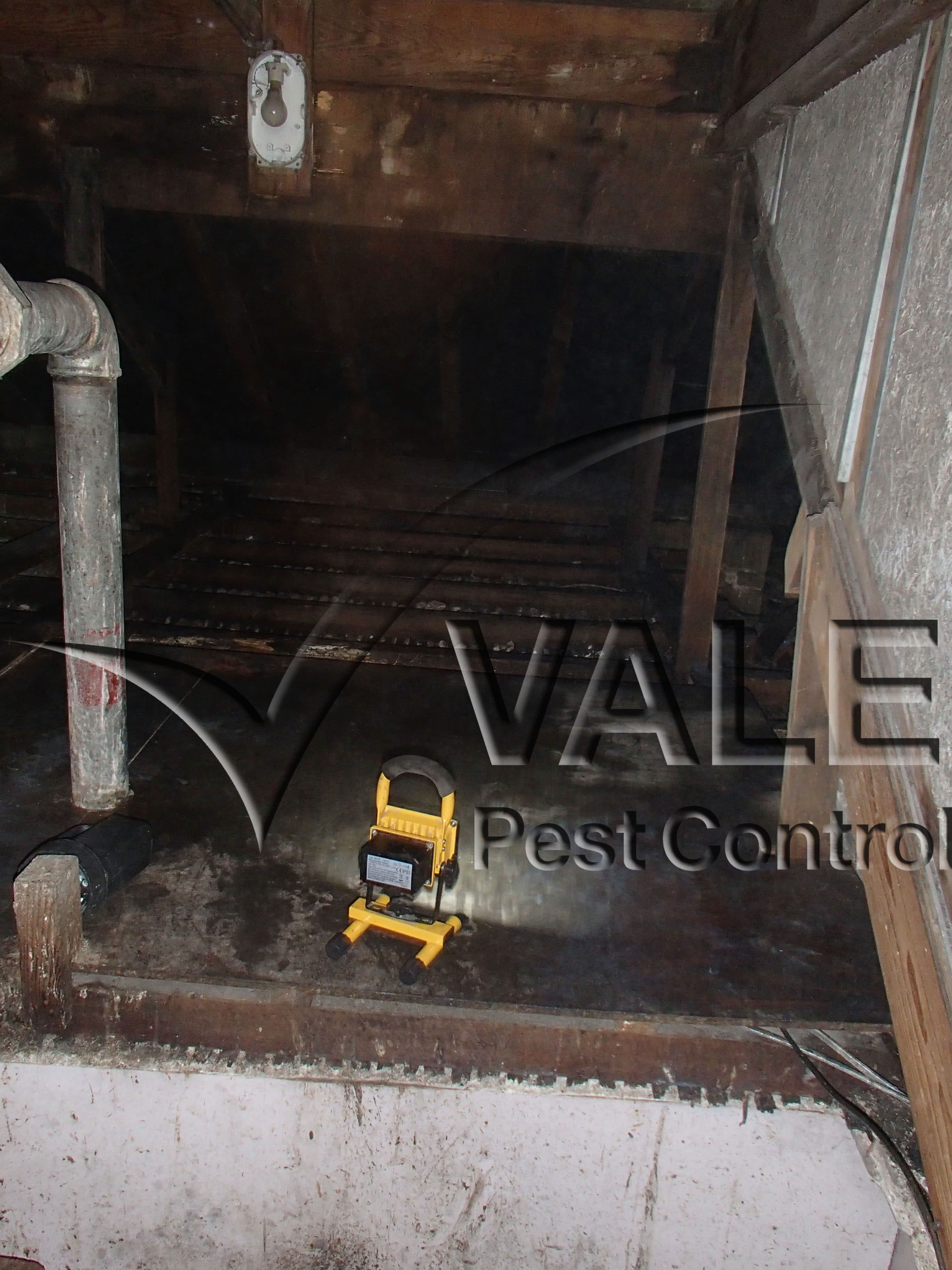 Penarth – Headlands – Guano post clean