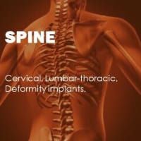 Spine