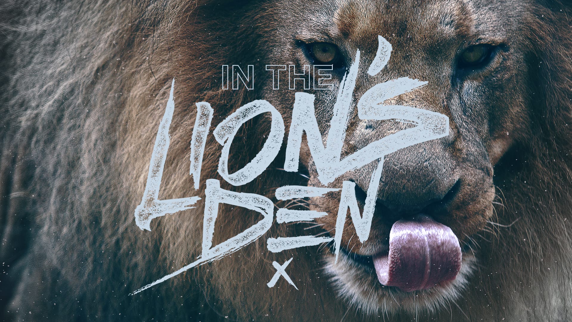 In The Lion's Den