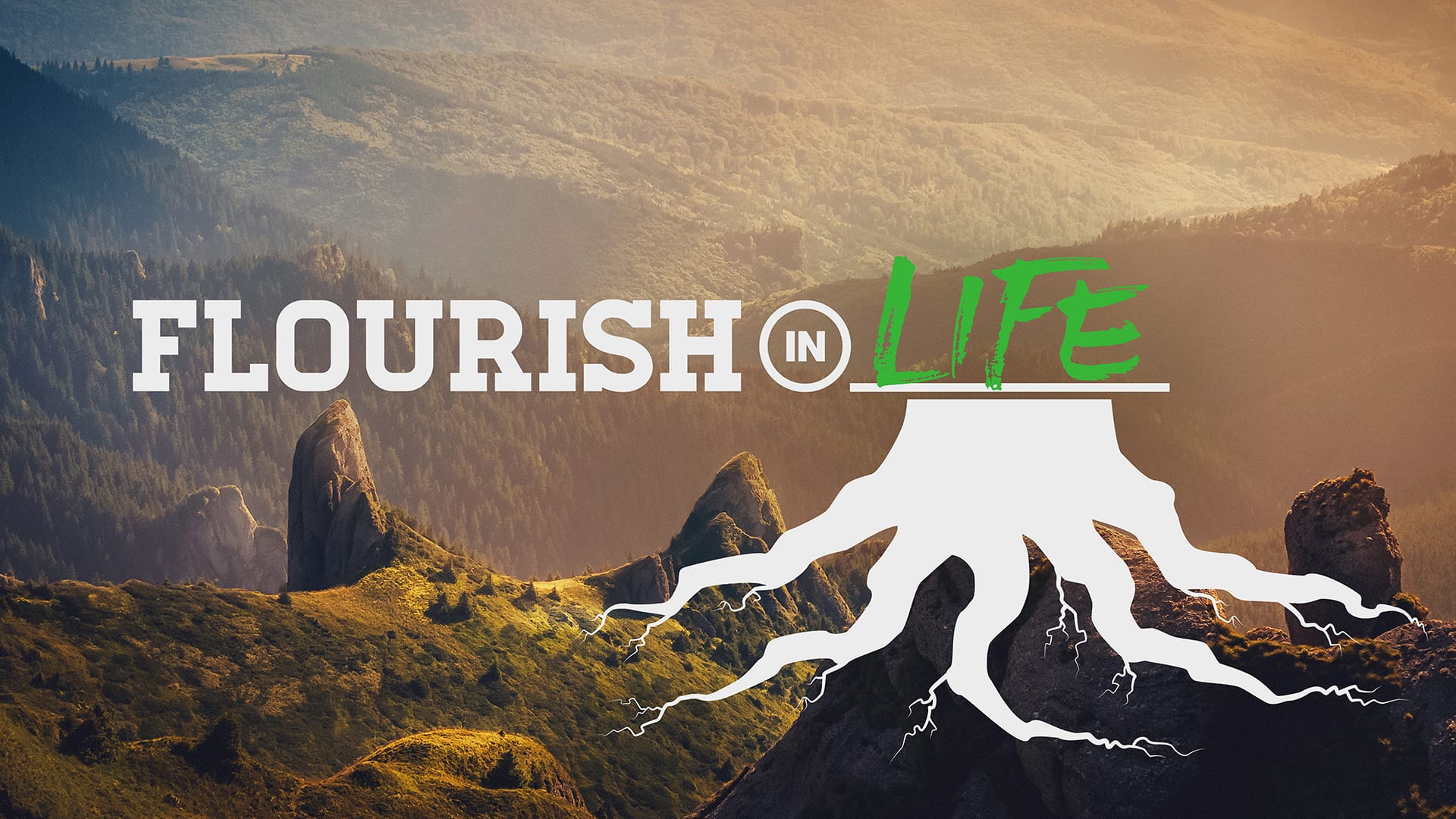 Flourish in Life