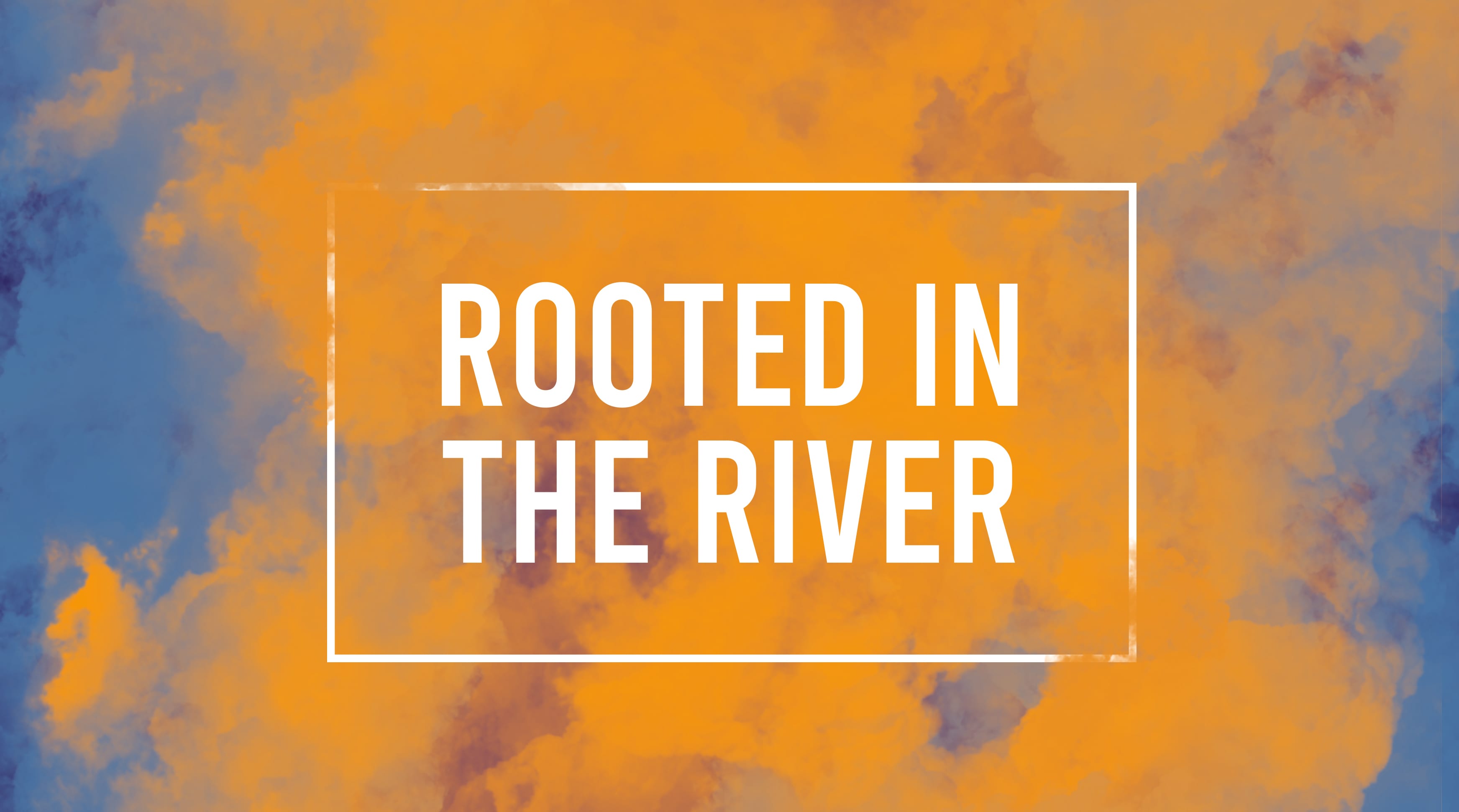 Rooted in the River