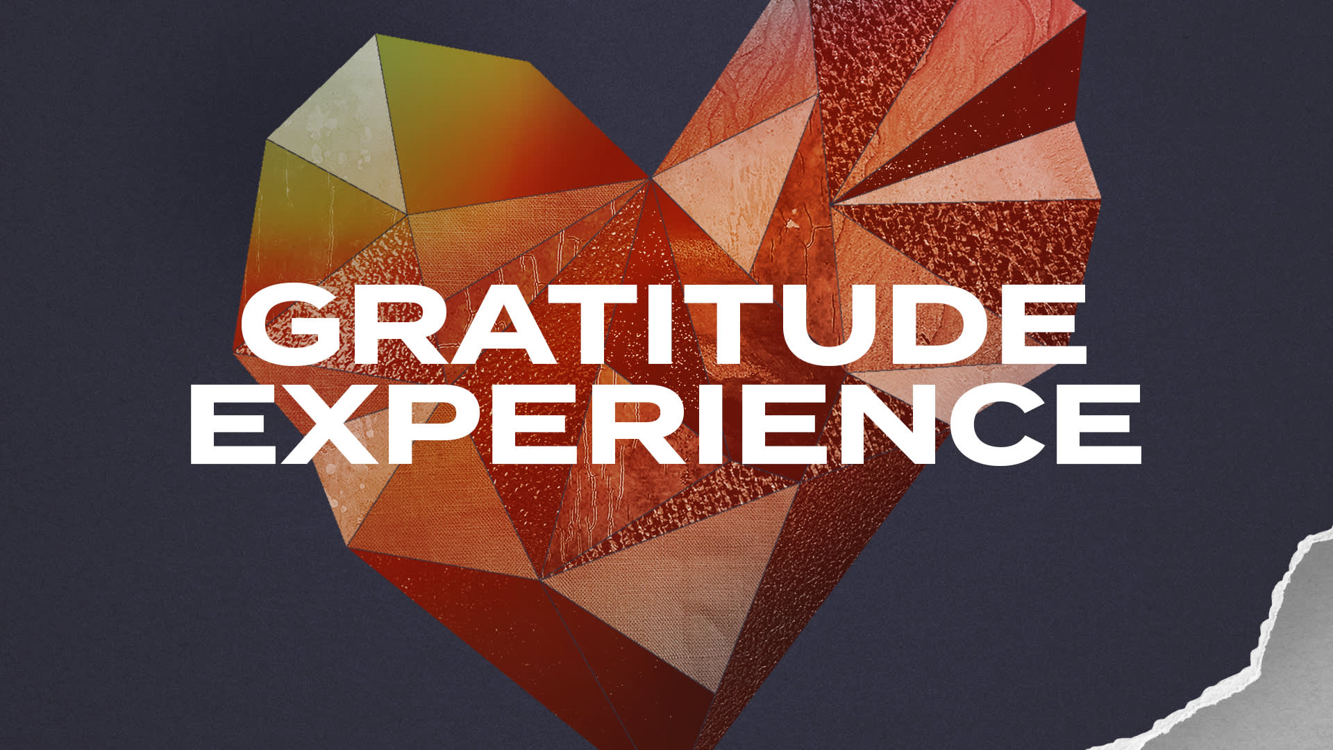 Gratitude Experience