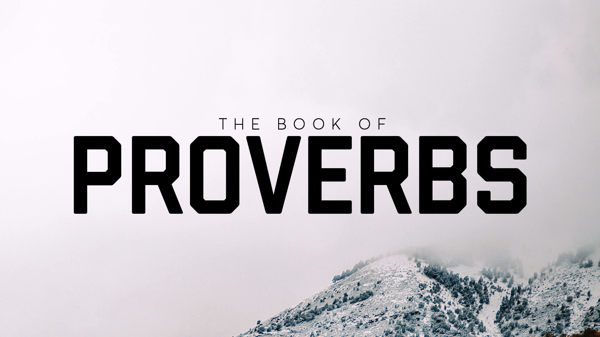 The Book of Proverbs