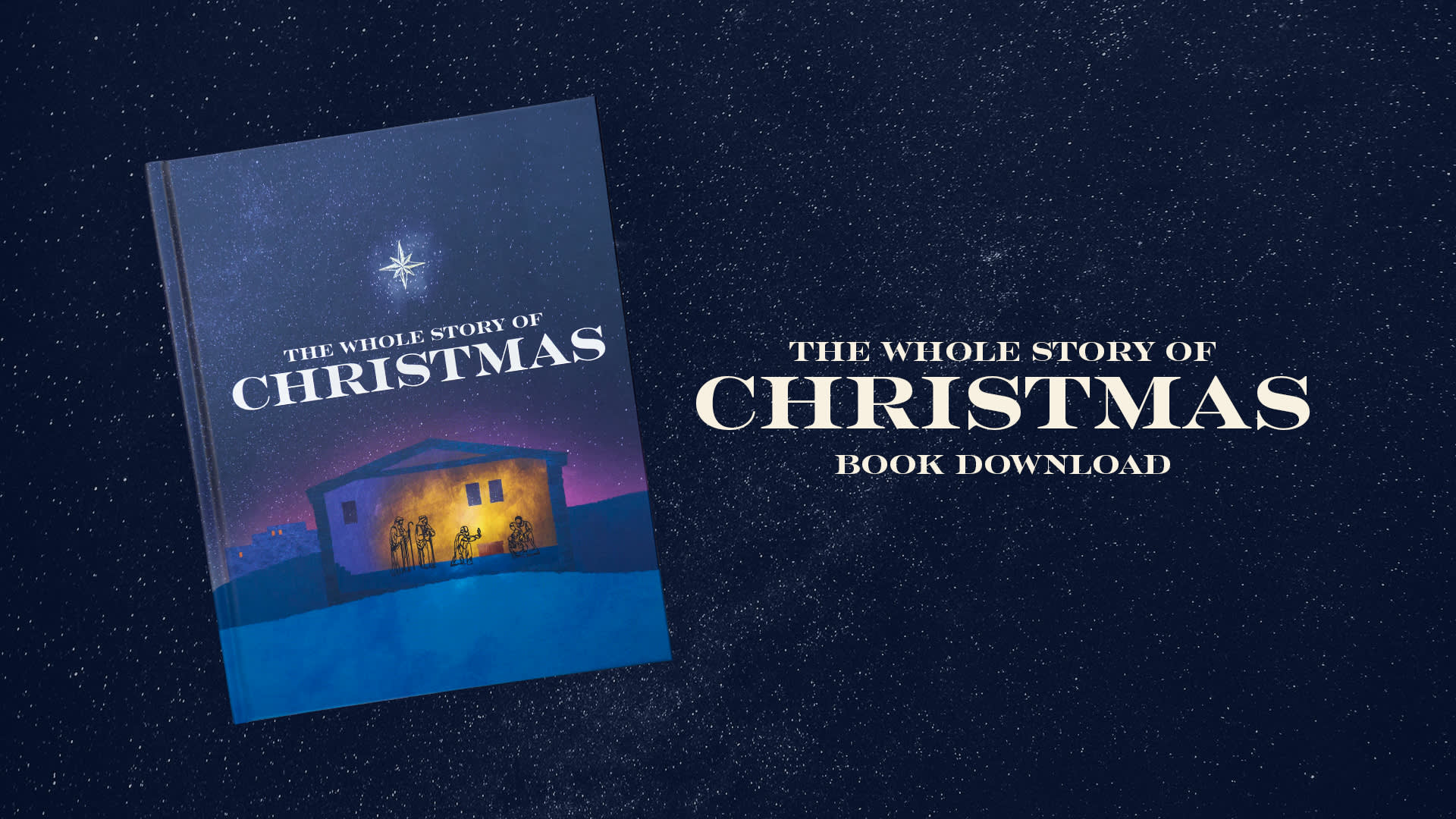The Whole Story of Scripture Book Download