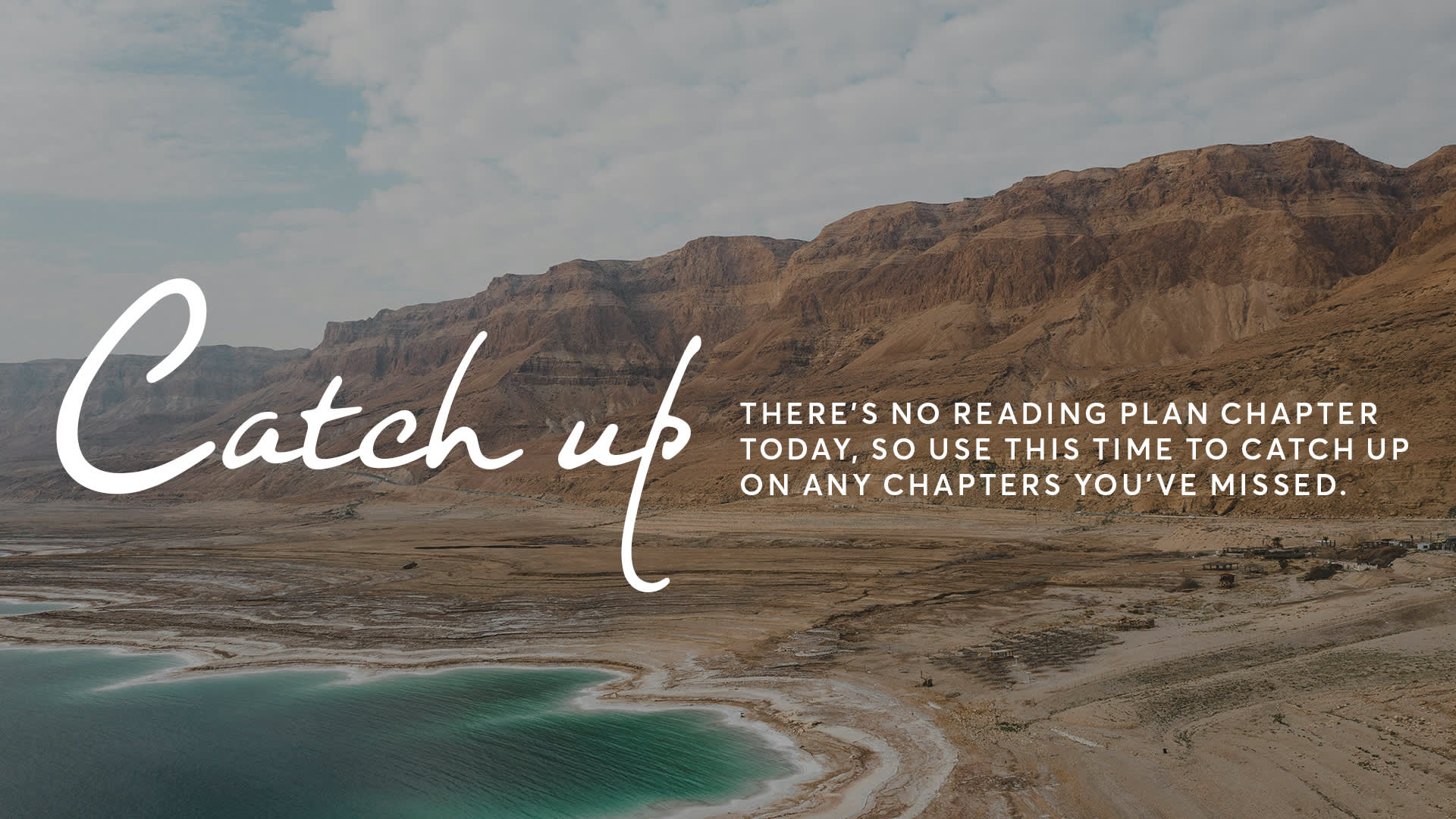 Catch Up (No Chapter Today)