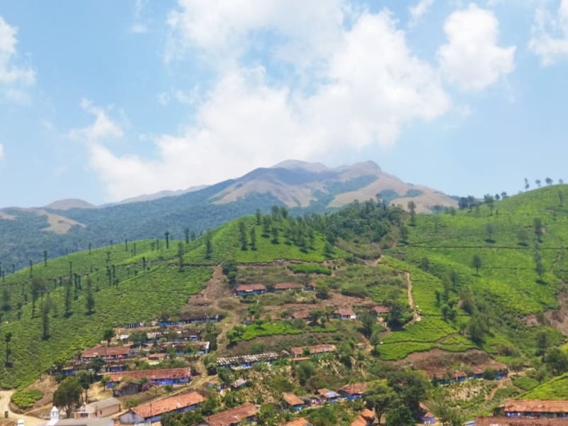 Akkamalai Grass Hills 1
