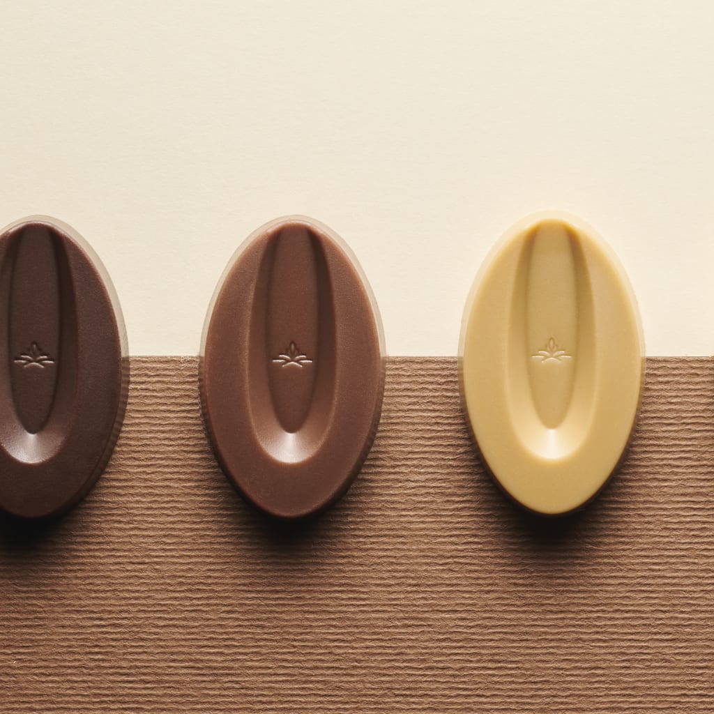 Valrhona Selection - Moule bûche insert slalom