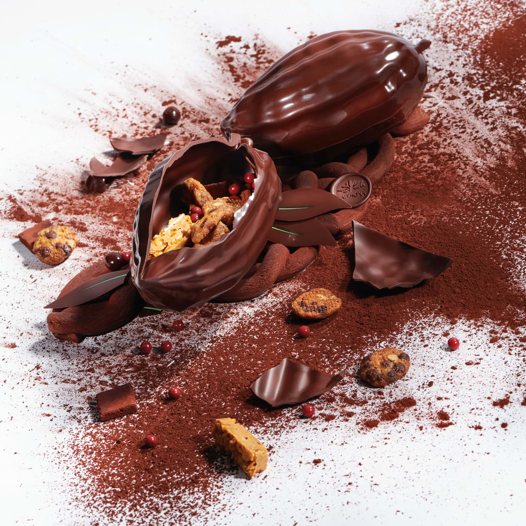 Assortiment bonbons de chocolat de noël valrhona 32 KG