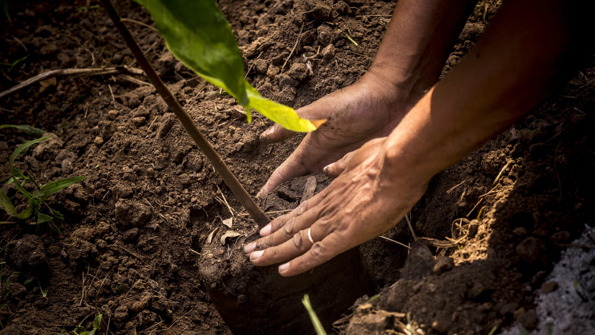 Politica Agroecologia