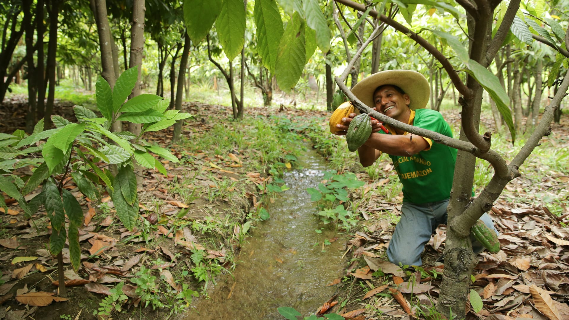 Cooperativa Norandino