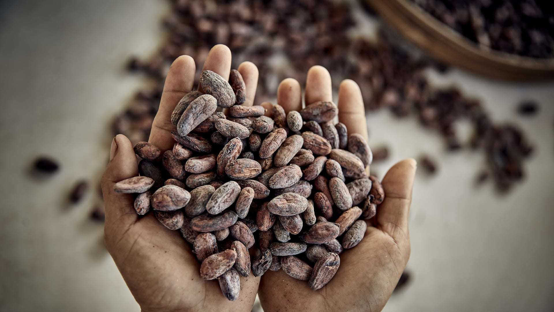 Politique Prix Équitable