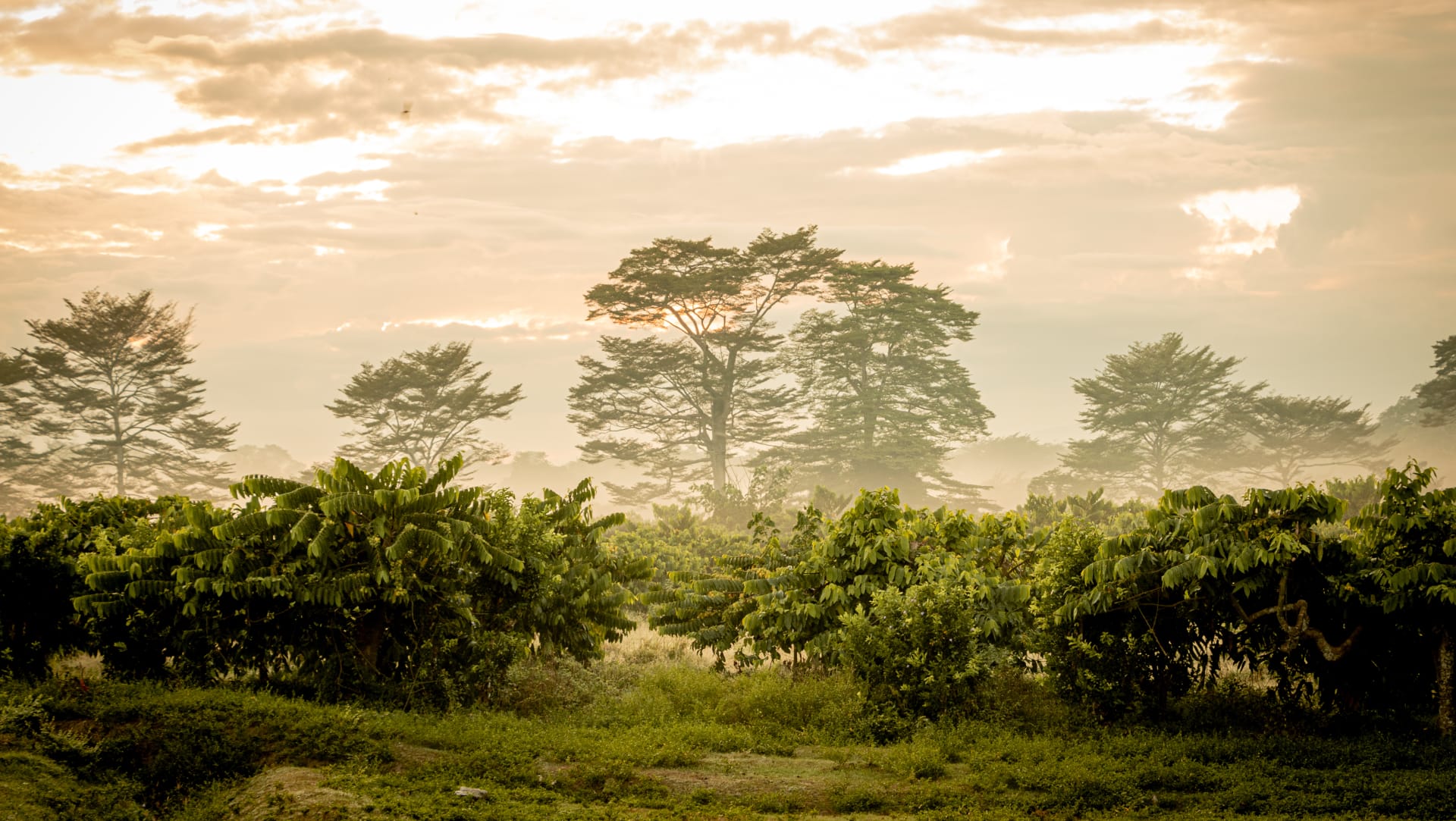 valrhona.fr-home-banner-b corp