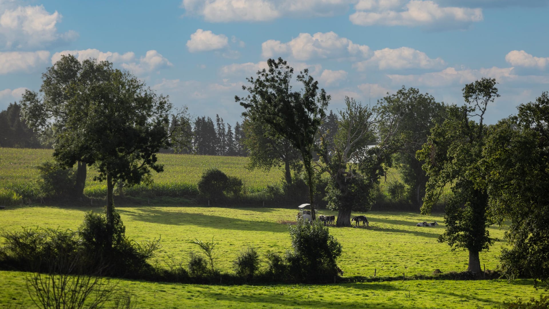 ELLE & VIRE PROFESSIONNEL®: The French Excellence