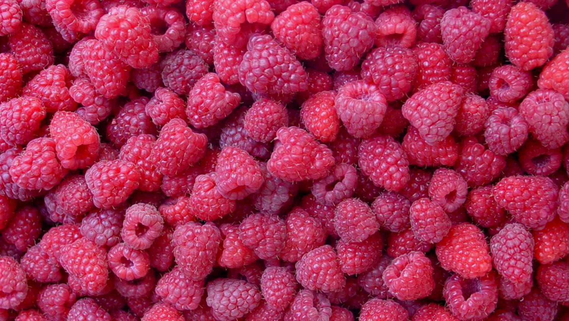 Valrhona.com-Seasonal Flavors - A spotlight on raspberries