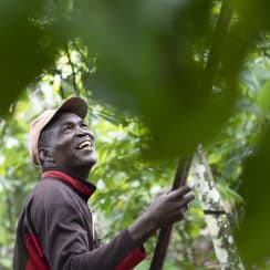 photo d'un homme dans une plantation