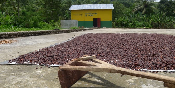 Drying of cocoa beans in Haiti