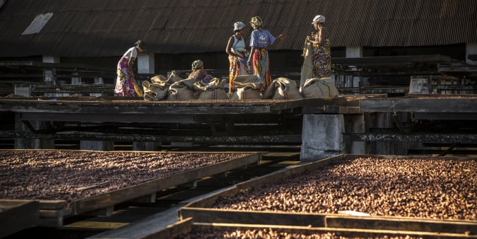 Drying of cocoa beans in Madagascar