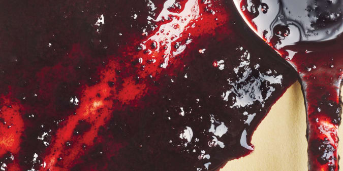 Adamance Wild Blueberry Puree