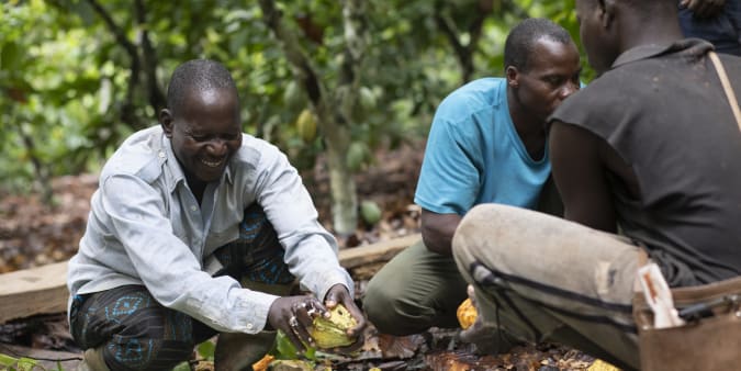 Cacao Côte d'Ivoire Valrhona