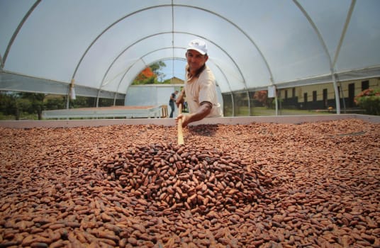 Valrhona Chocolate Products Cercle V