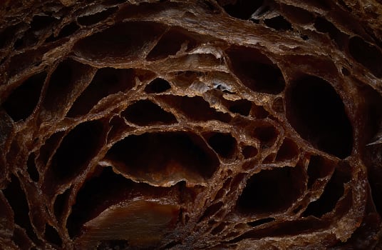 Bâtons petits pains Gianduja