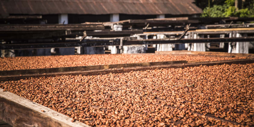 Découvrez, Valrhona Chocolat noir Manjari 64% de cacao aux pépites à  l'orange 120g