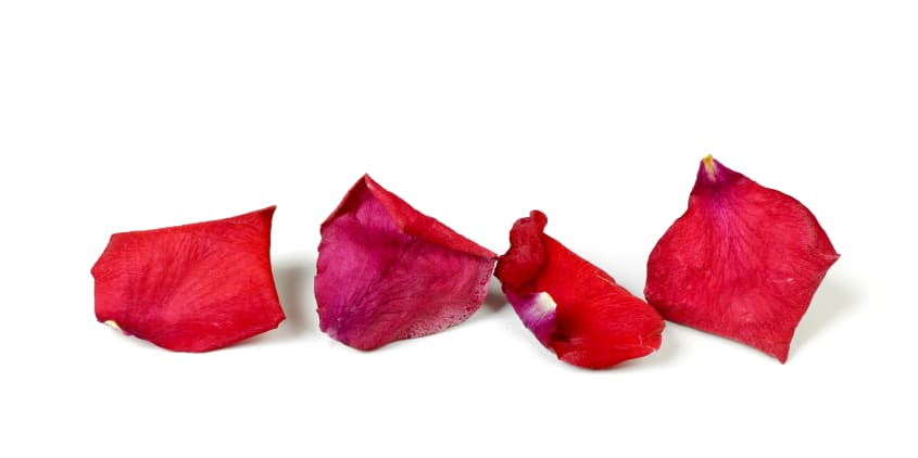 Freeze Dried Rose Petals - Red – Petal Garden, Inc.