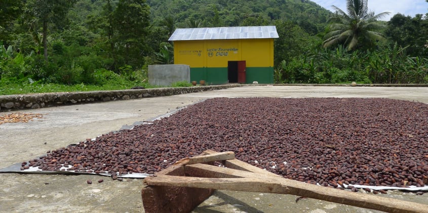 Cuvée Haïti 66% | Valrhona Chocolate