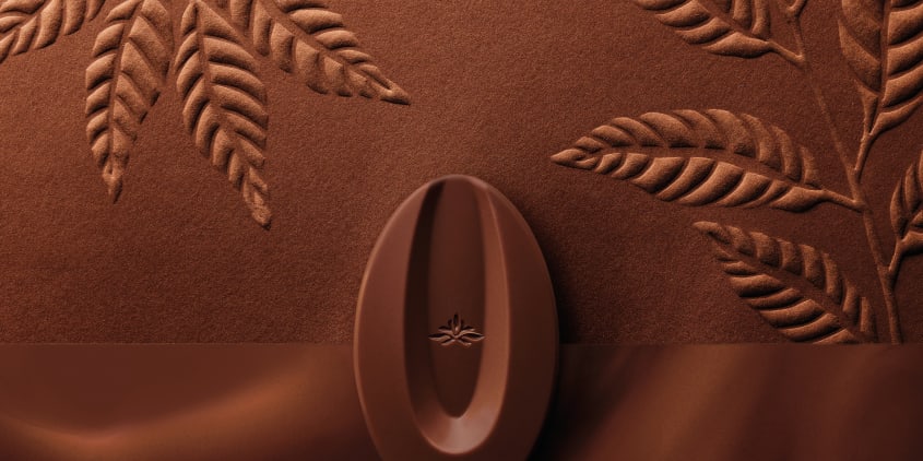 Plant-based Amatika 46% | Valrhona Chocolate