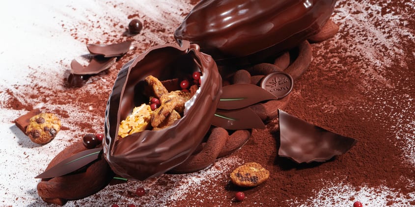 Caraïbe 66% | Valrhona Chocolate
